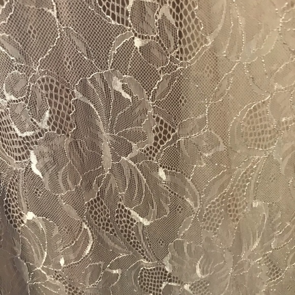 Vera Wang Beige Lace Gown - Picture 4 of 6